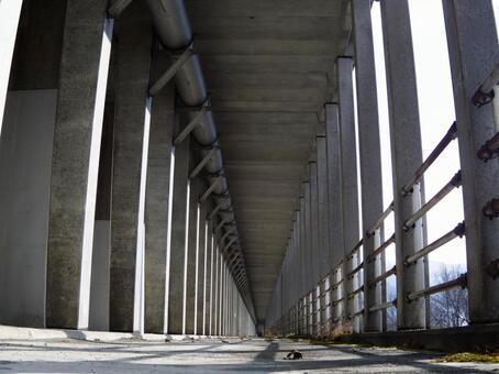 高架下の幾何学模様 高架下,橋,橋脚の写真素材