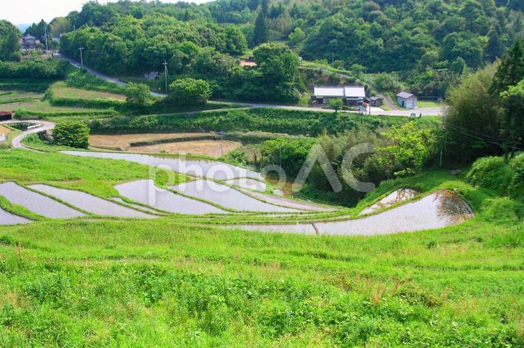 田舎の風景・田んぼ 棚田,田舎,水田の写真素材
