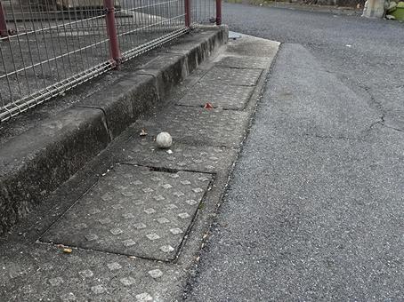 路肩に転がるボール ボール,忘れ物,放置の写真素材