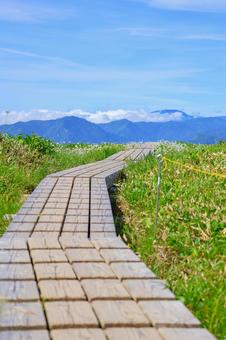 木道 木道 苗場山,日本百名山,百名山の写真素材
