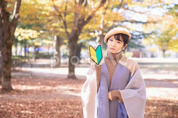 秋の公園にいる初心者マークを持つ女性（困る） 初心者,未経験者,秋の写真素材