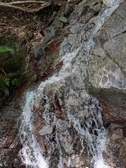 渓流14 渓流,沢,水の写真素材