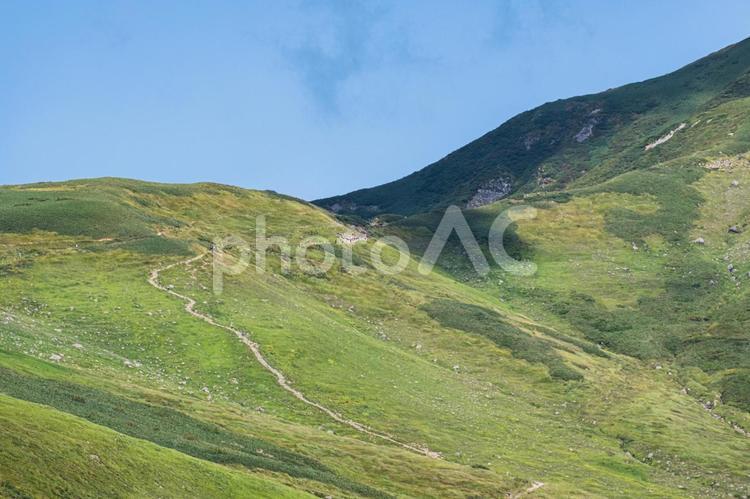 夏の百名山　月山の山頂まで伸びる山道 百名山,月山,山頂の写真素材