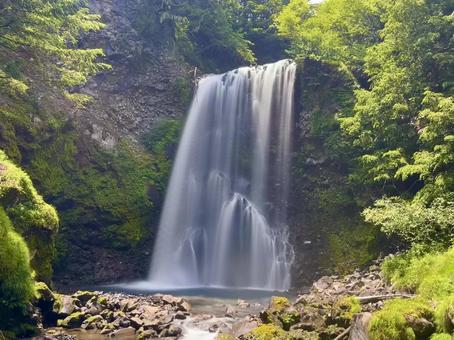 初夏の滝 初夏の滝 滝,乗鞍高原,善五郎の滝の写真素材