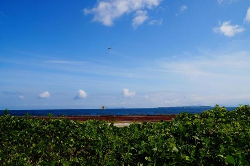夏の海の風景 夏の海の風景の写真