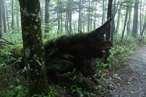 mountain hiking, JPG