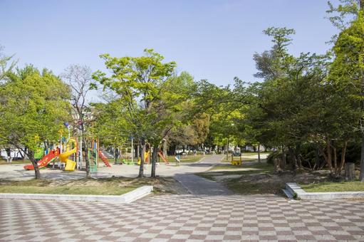 大高緑地 公園 大高緑地 公園 大高緑地,公園,遊具の写真素材