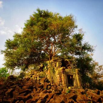 カンボジア　ベンメリア カンボジア,ベンメリア,世界遺産の写真素材