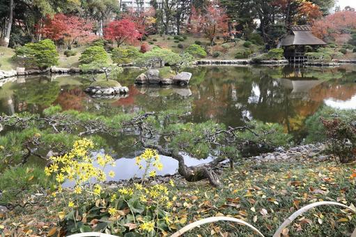 縮景園紅葉 広島県,広島市,名勝の写真素材
