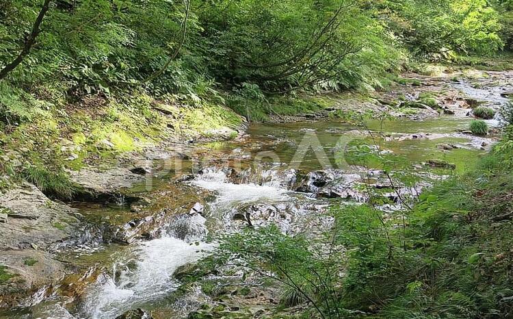 清らかな清流の景色、水しぶきを上げて流れ落ちる白銀の滝 滝,清流,水しぶきの写真素材