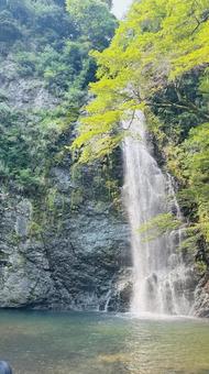 力強く落ちる滝 力強く落ちる滝の写真