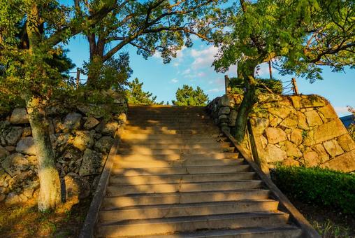 【佐賀】佐賀城跡の周辺 佐賀,佐賀城跡,城跡の写真素材