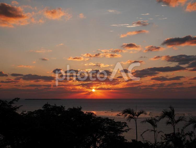 夕陽　夕焼け 夕陽,夕日,夕焼けの写真素材