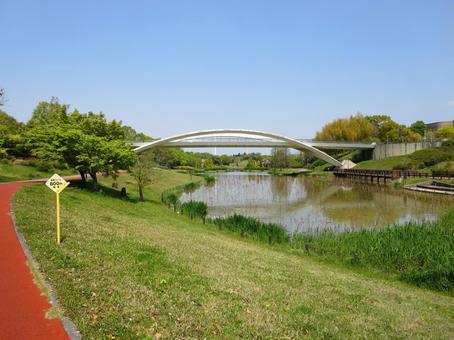 あいち健康の森公園 あいち健康の森公園 あいち健康の森公園,公園,池の写真素材