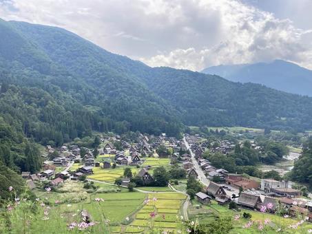 白川郷① 白川郷,萩町集落,合掌造りの写真素材