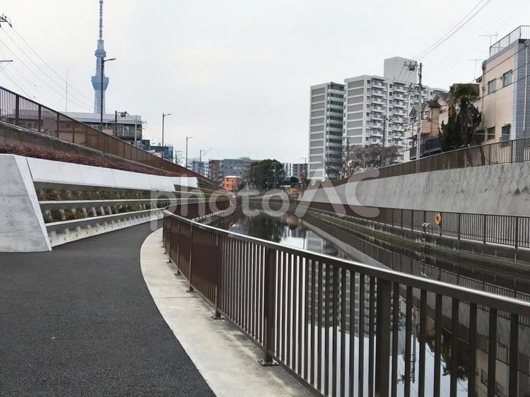 整備された水辺の散策路 散策,スカイツリー,水辺の散策路の写真素材