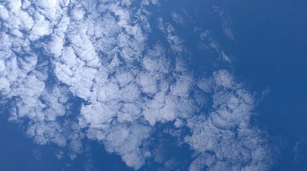 青空 青空の写真