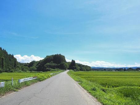 夏の景色43 夏の景色43の写真