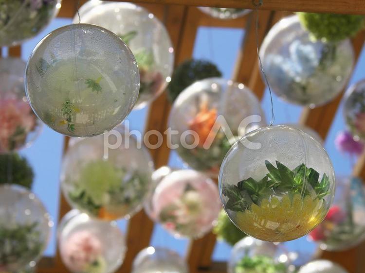 たくさんのクリアボール装飾を見上げて 青葉園,クリアボール装飾,涼やかの写真素材
