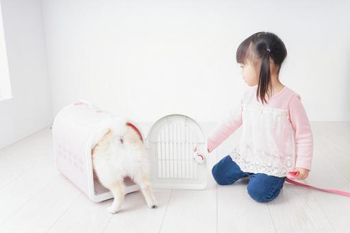ペットの世話をする子ども ペットの世話をする子ども 散歩,成長,友達の写真素材