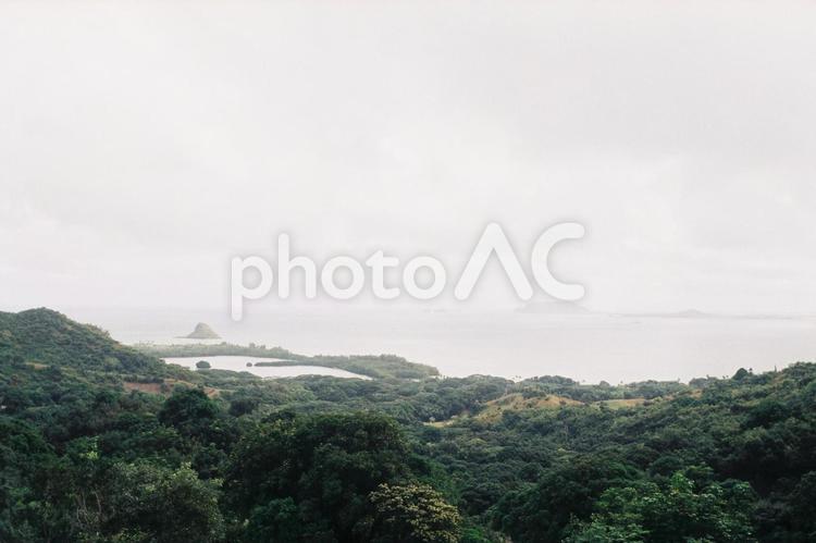ハワイの風景 ハワイ,森,海の写真素材