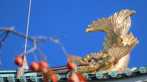 名古屋城　柿の実を食べる金のシャチホコ 名古屋城,尾張徳川家,御三家の写真素材