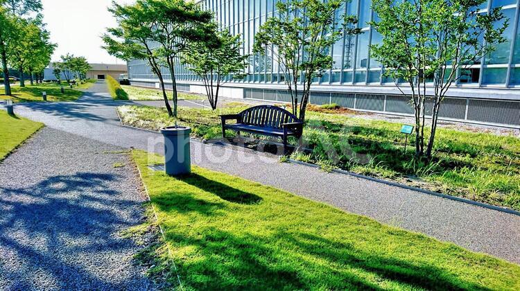 木漏れ日(横)。 ベンチ,庭園,木漏れ日の写真素材