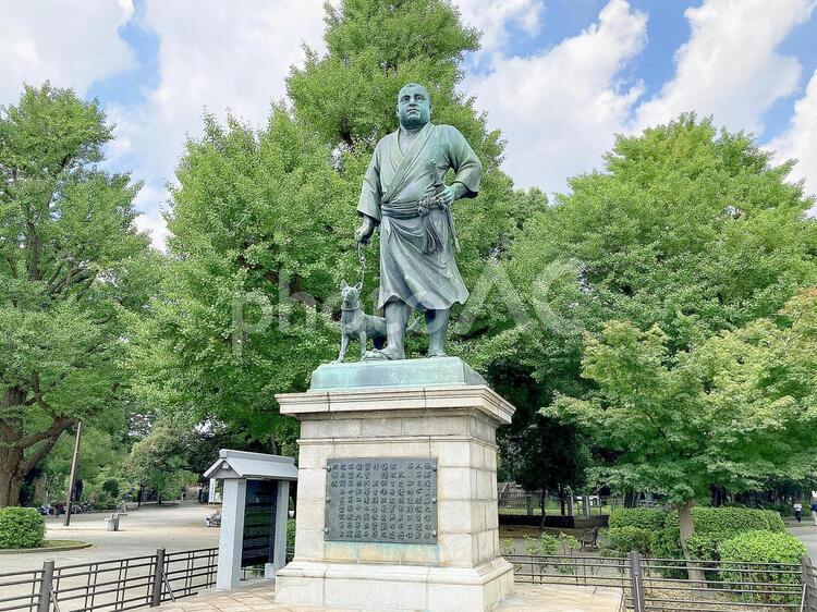東京風景・上野公園 上野公園,上野恩賜公園,西郷隆盛像の写真素材