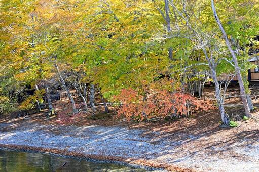 奥日光の紅葉（中禅寺湖、男体山） 紅葉,秋,風景の写真素材