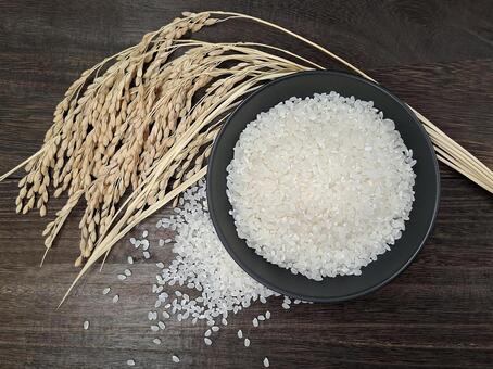 稲穂と白米_焦茶木目バック_1 秋,秋の味覚,米の写真素材