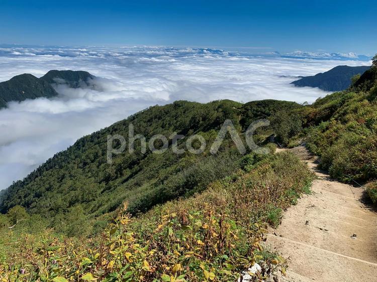 燕岳　登山　雲海 燕岳,雲海,頂上の写真素材