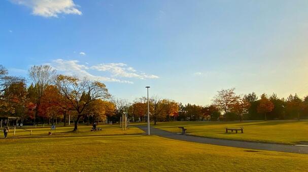 紅葉の北部公園（金沢） 紅葉,秋,公園の写真素材