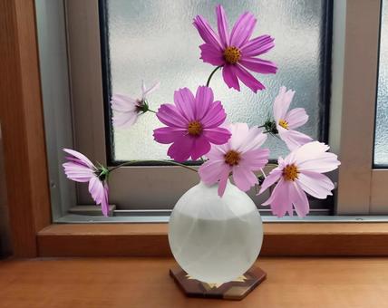 窓辺の一輪挿しの写真