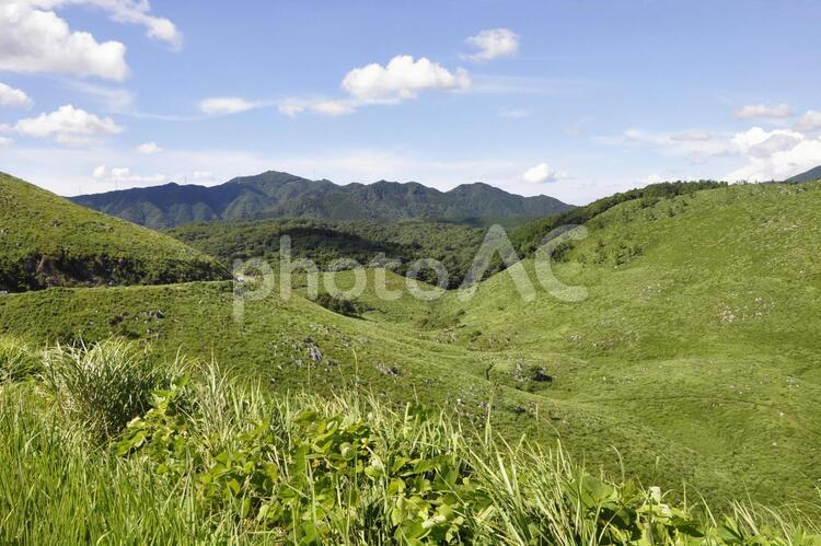 秋吉台の風景 カルスト大地,夏,ツアーの写真素材