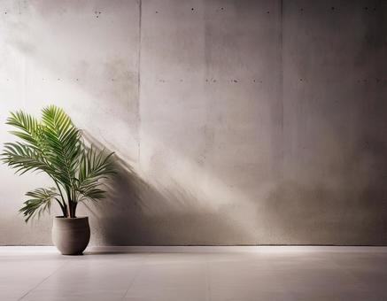 コンクリートの壁と観葉植物 コンクリートの壁と観葉植物の写真