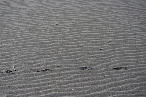 波紋と足跡のある砂浜の風景 波紋,足跡,砂浜の写真素材