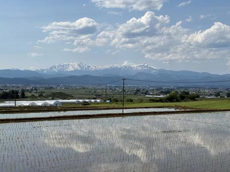 水田と飯豊山 水田と飯豊山 水田,飯豊山,残雪の写真素材