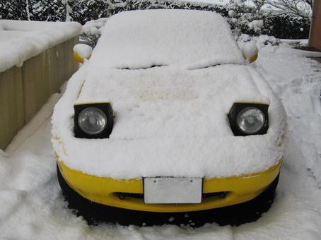 雪の積もった車 雪の積もった車の写真