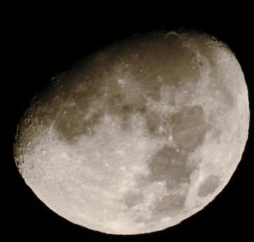 Moon Rabbit, JPG