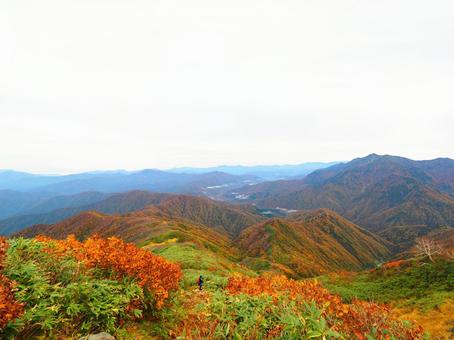 紅葉(越後三山・越後駒ヶ岳) 紅葉(越後三山・越後駒ヶ岳)の写真