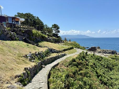 夏の福井県東尋坊 夏の福井県東尋坊 東尋坊,森,遊歩道の写真素材