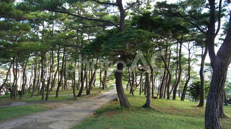 風景 景色,風景,庭の写真素材