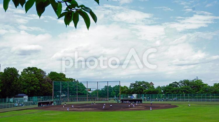 野球場で少年野球の練習風景 野球場,グラウンド,野球の写真素材