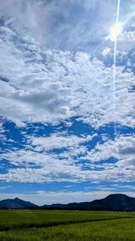 夏の青空、田園と山々 夏の青空、田園と山々 空,雲,青空の写真素材