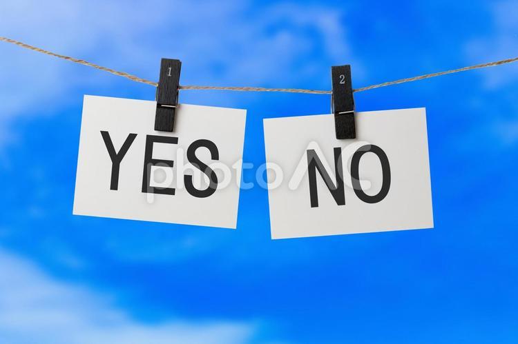 YESとNO ビジネス,yes,noの写真素材