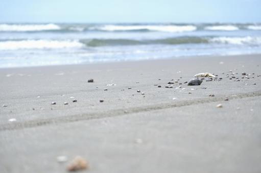 潮騒凡景... 渚にて。 海,砂浜,渚の写真素材