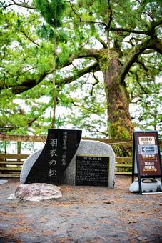 三保松原 羽衣の松の石碑 羽衣の松,三保松原,羽衣伝説の写真素材