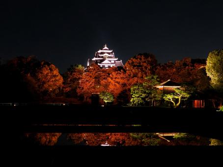 後楽園から見るライトアップされた岡山城の写真