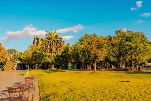 【佐賀】佐賀県立図書館の周辺 佐賀県立図書館,佐賀,図書館の写真素材