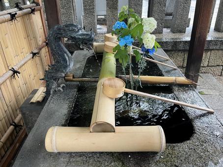 花手水 花手水 花手水,カーネーション,手水舎の写真素材